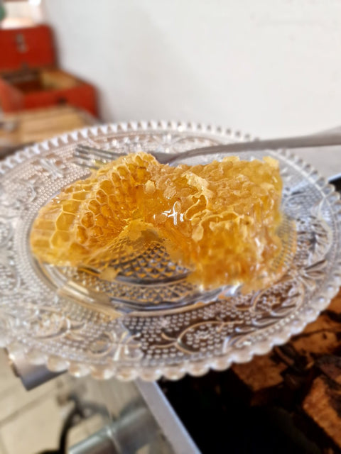 Honigwabe – goldene Bienenwabe mit frischem, naturbelassenem Honig aus der mediterranen Region.
