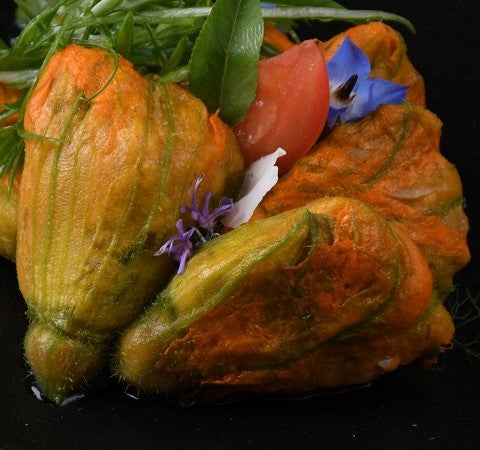 Zucchiniblüten angerichtet – dekorative und feine mediterrane Delikatesse, frisch zubereitet und appetitlich serviert