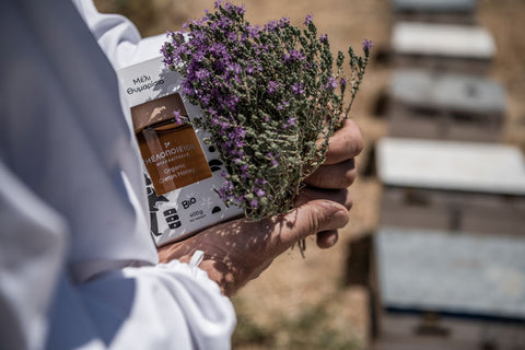 Ein Glas Chania Honig in den Händen des Imkers mit einem Blütenzweig direkt an den Bienenstöcken. So entsteht Genuss. 
