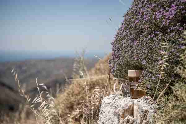 Thymian-Honig von Chania Honey, Kreta